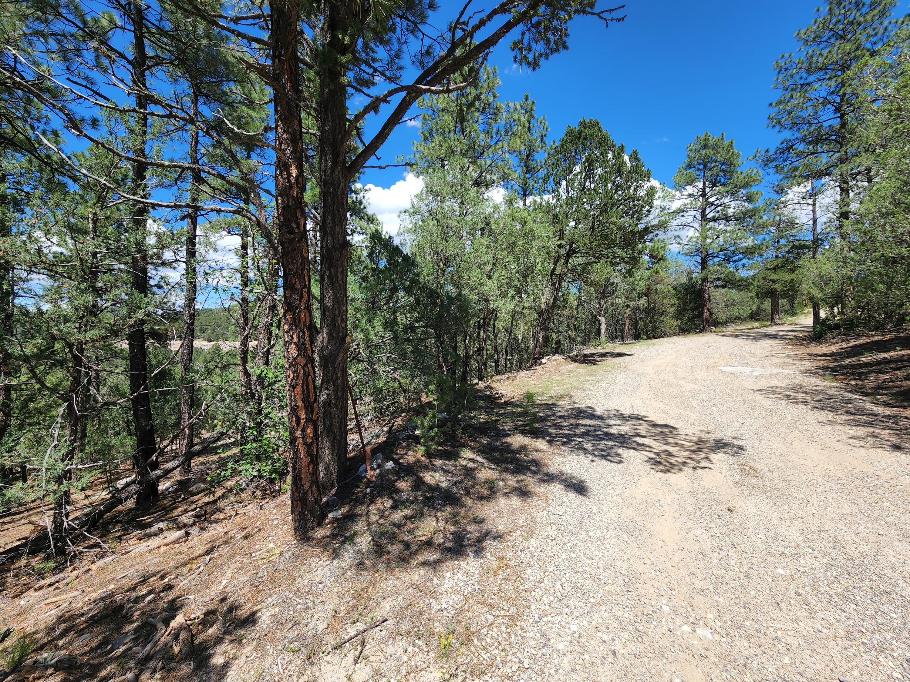 24 Green Shadow Court