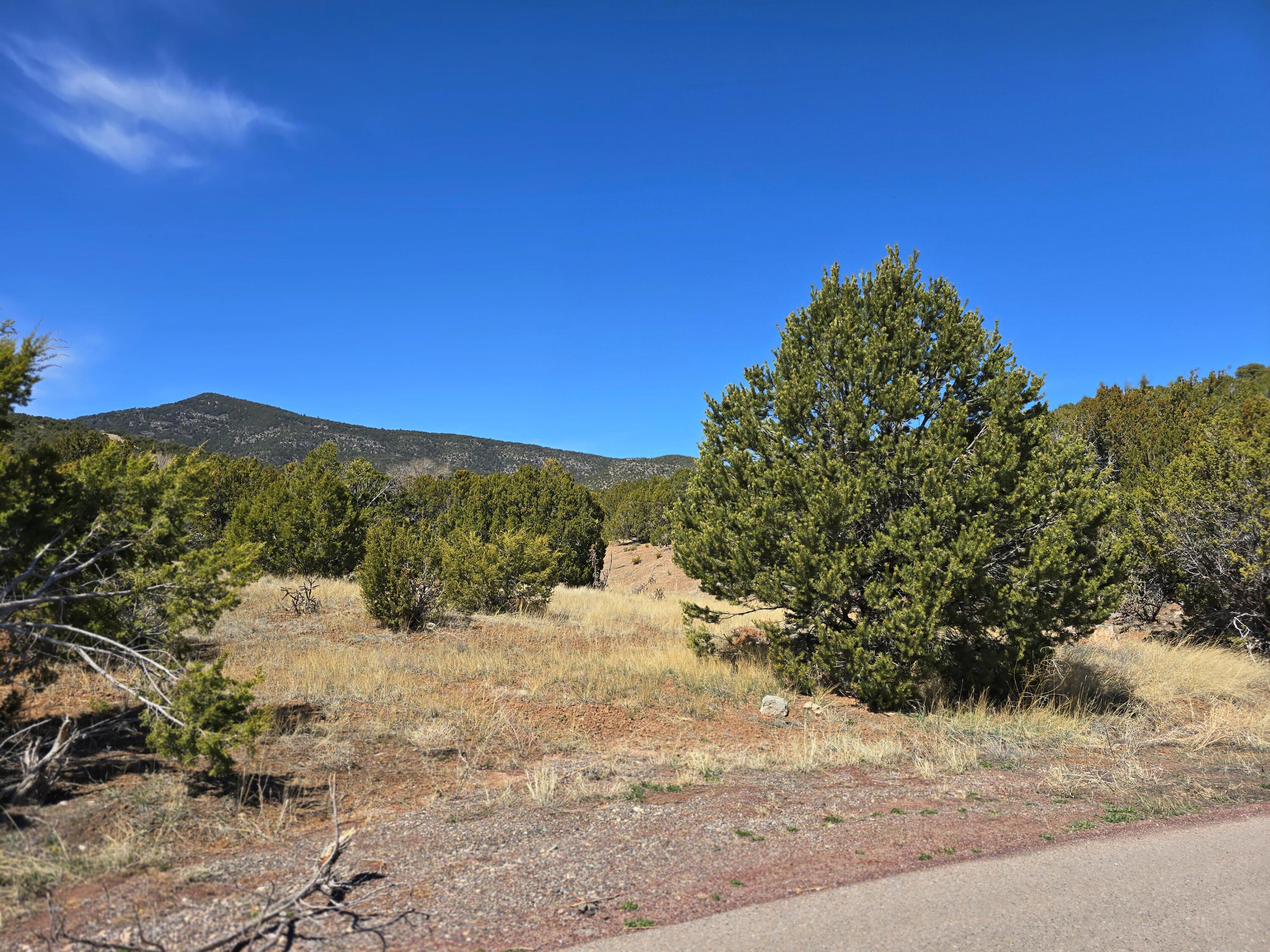 LA MADERA Road
