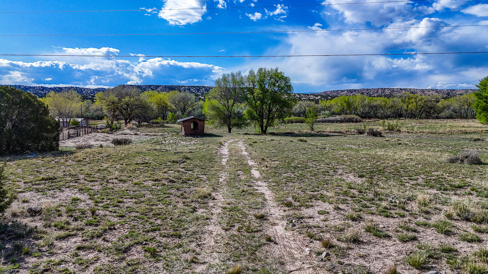 34529 County Road 55