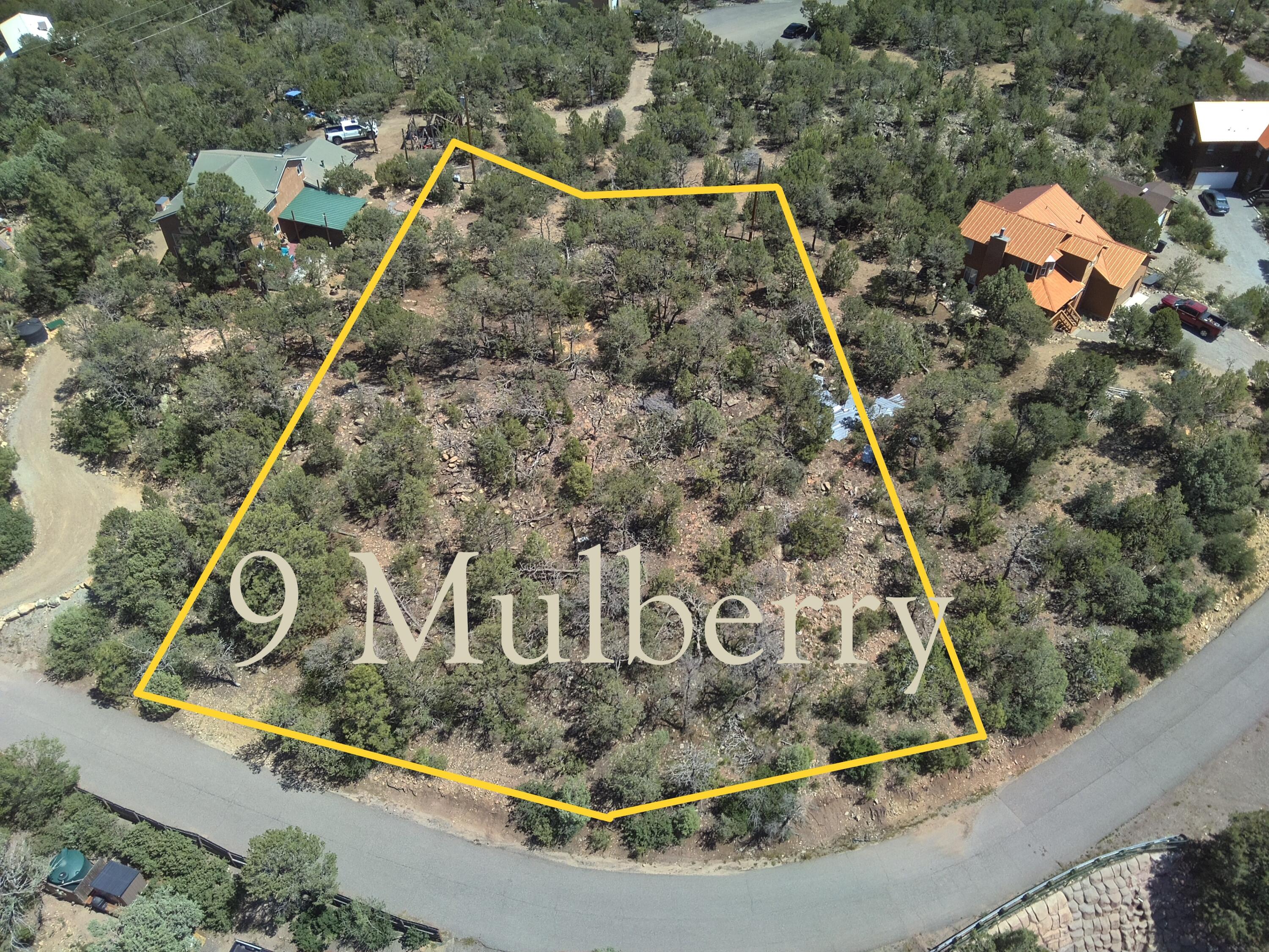 9 Mulberry Loop