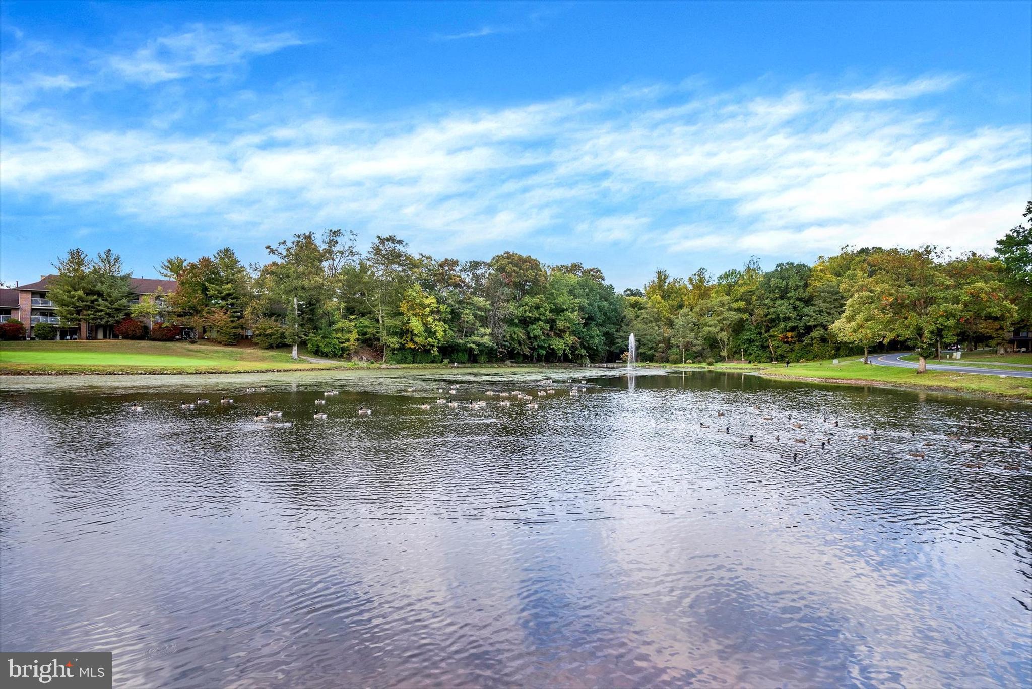 8 Fairway Road