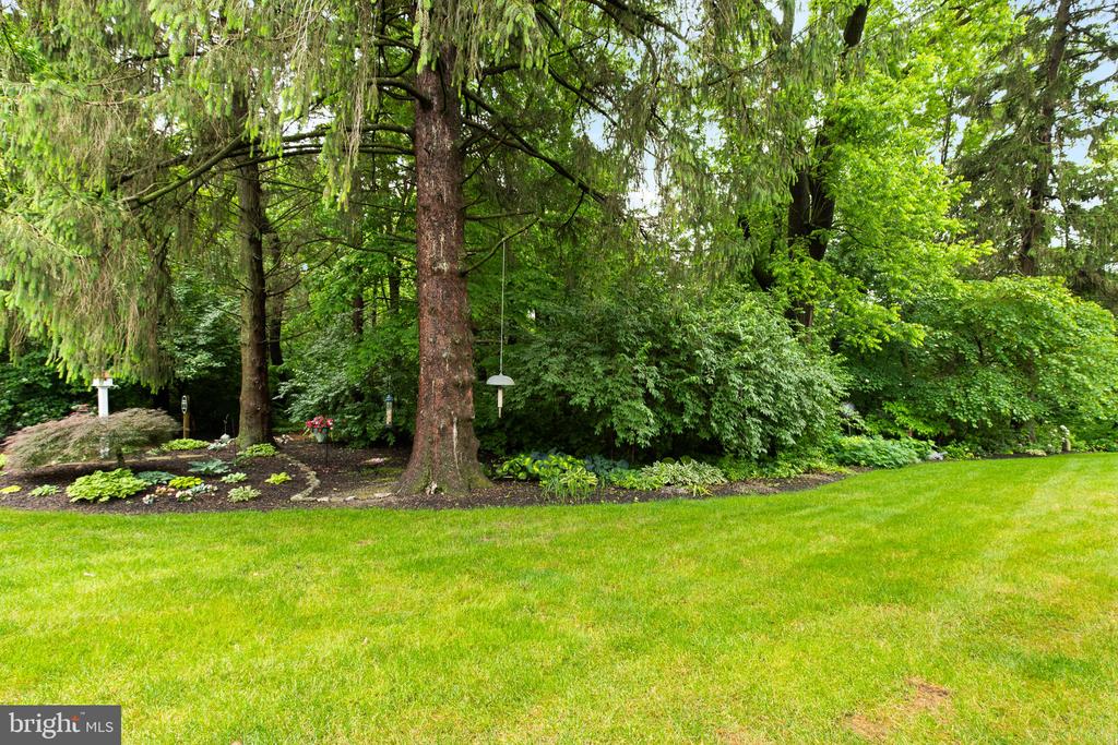 1816 WINDSONG LANE