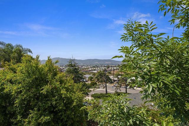 1651 Saddlehorn Drive