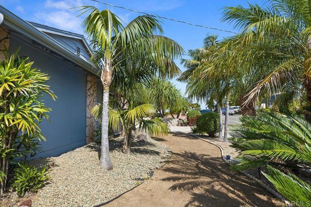 1651 Saddlehorn Drive