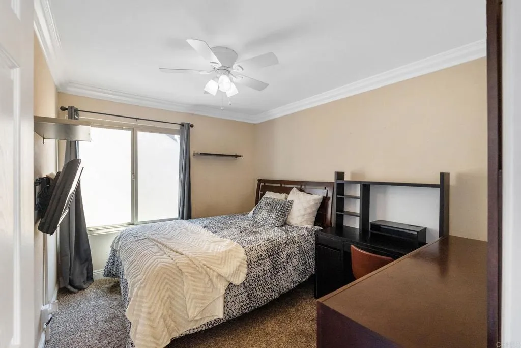 1238 Aristotle