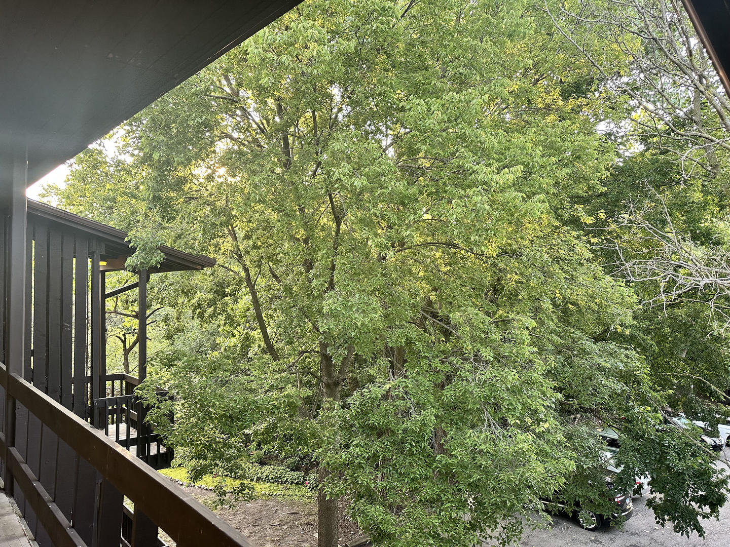 1615 Maple Terrace Unit: 3M