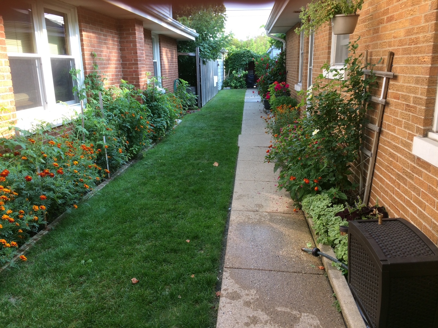 5501 Harvard Terrace