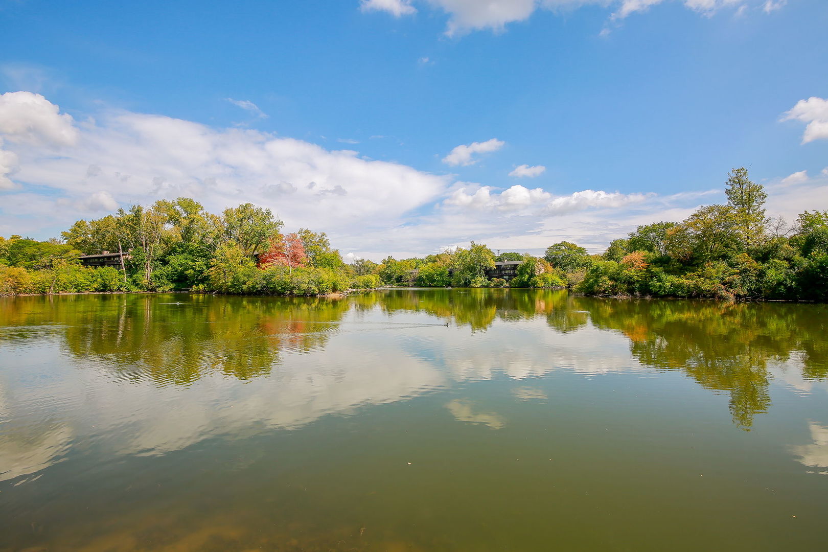 5803 Oakwood Drive Unit: C