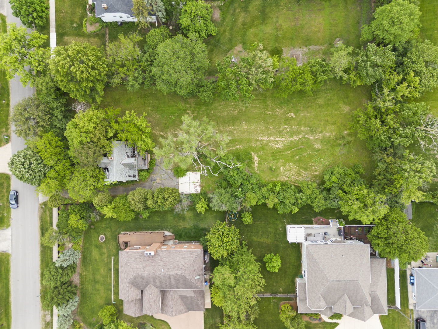 Grassy lot bordered by mature trees, with neighboring homes and a road along one side.