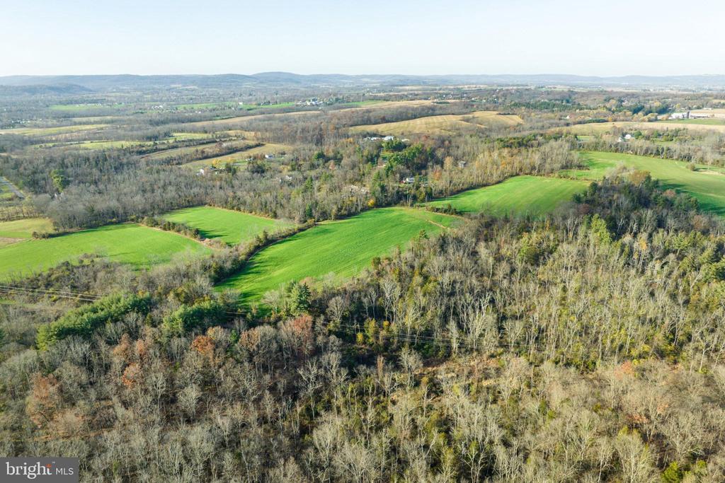 Amity Park Road