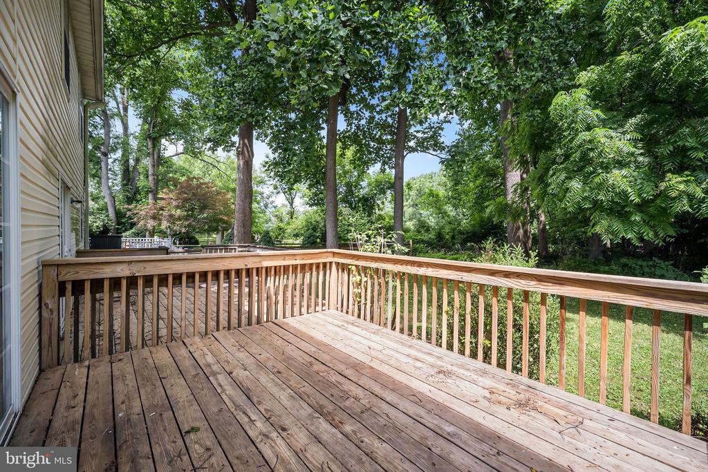 63 PINCKNEY DRIVE
