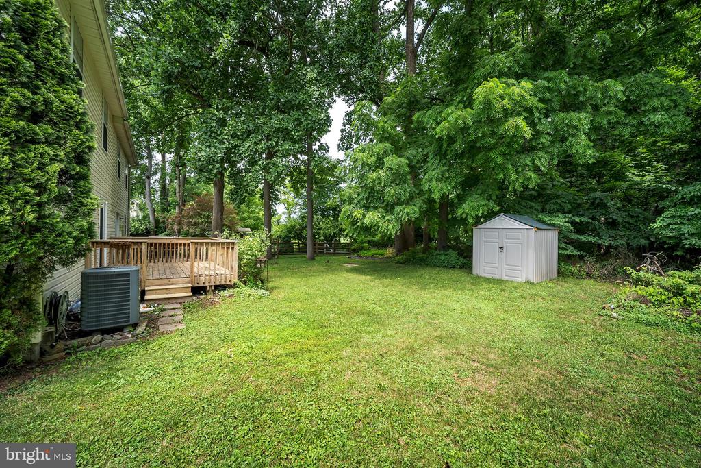 63 PINCKNEY DRIVE