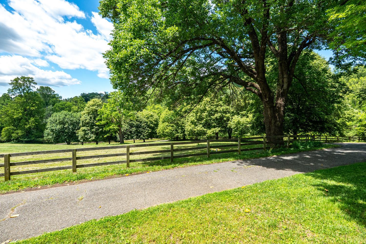 1381 Tamer Lane