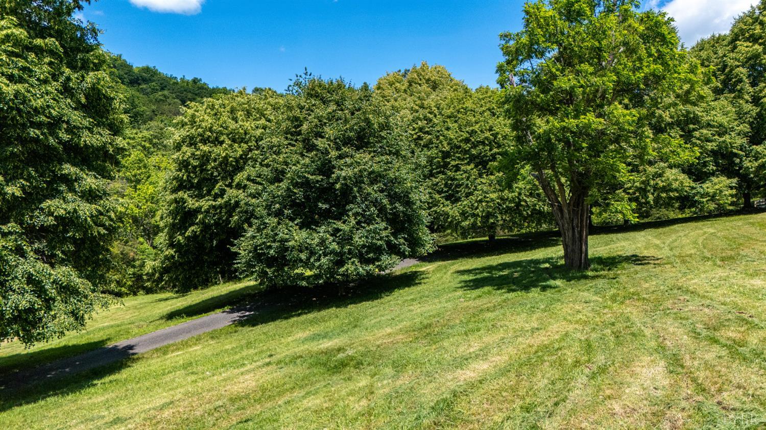 1381 Tamer Lane