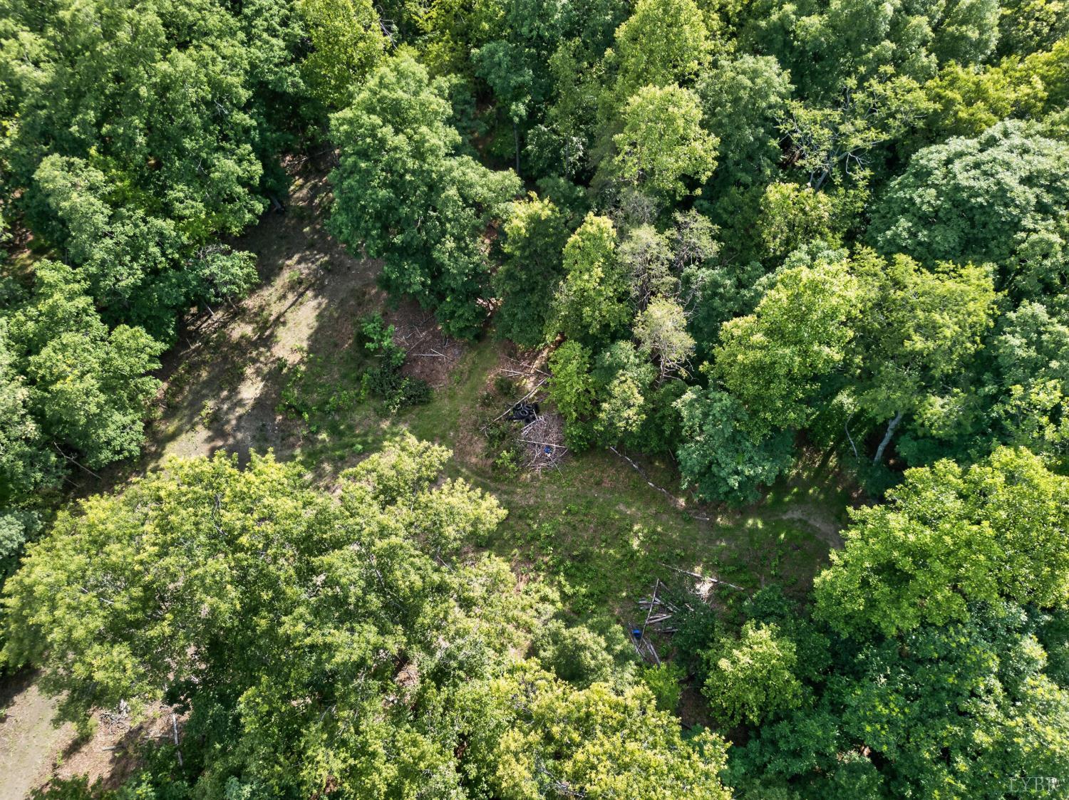 1086 Bugg Hollow Lane