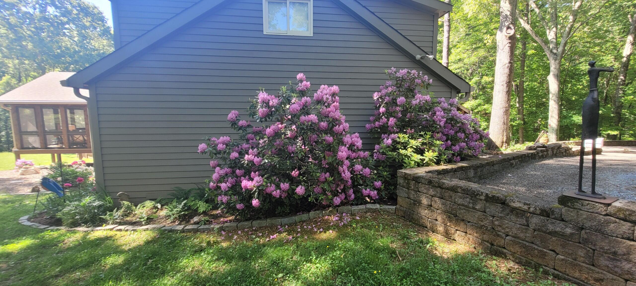 113 Melissa DR