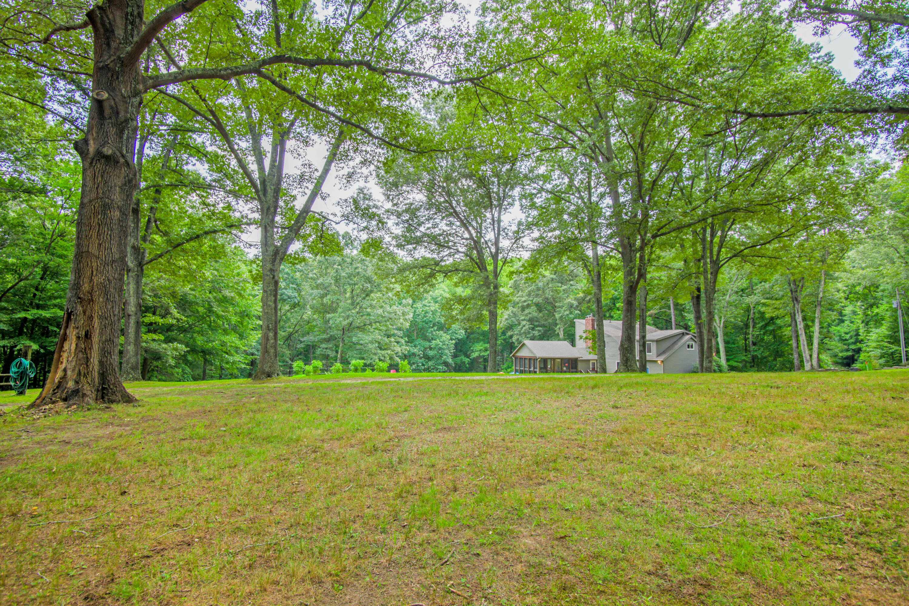 113 Melissa DR