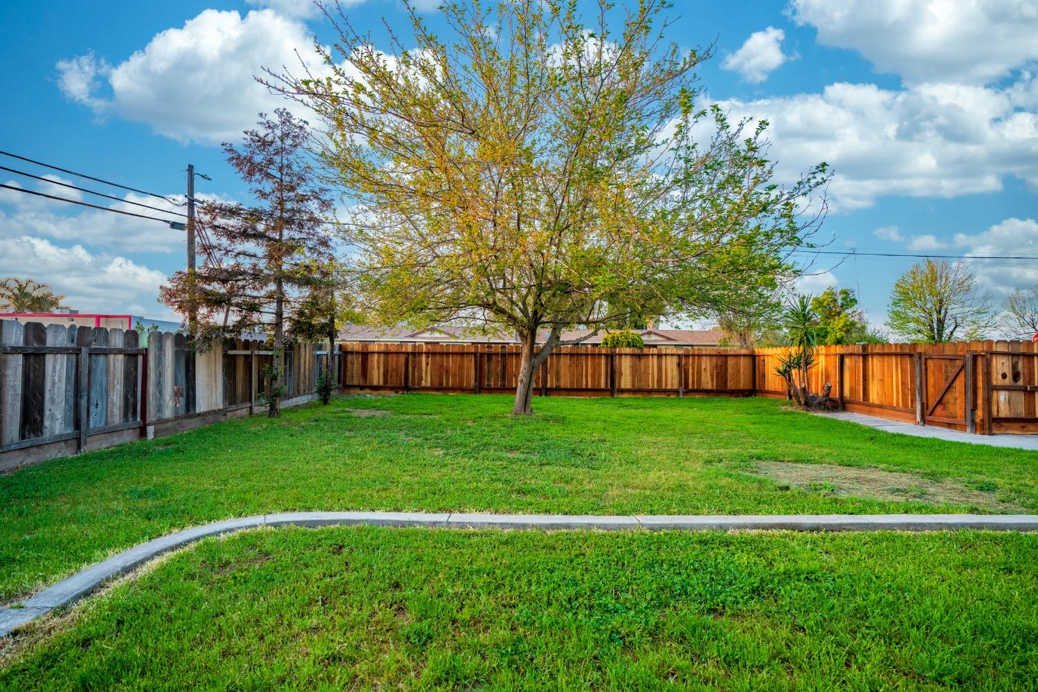 Grassy backyard with a large tree, wooden fencing, and a gate.