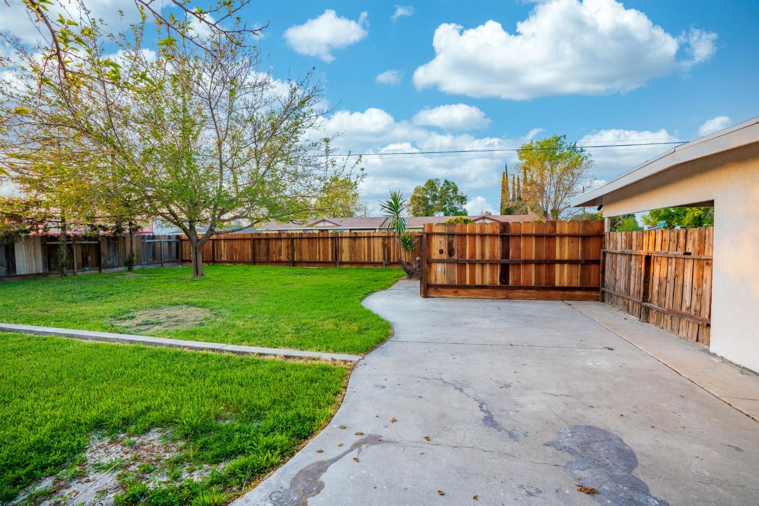 Backyard with a broad concrete patio, green lawn, mature tree, and wooden privacy fence.
