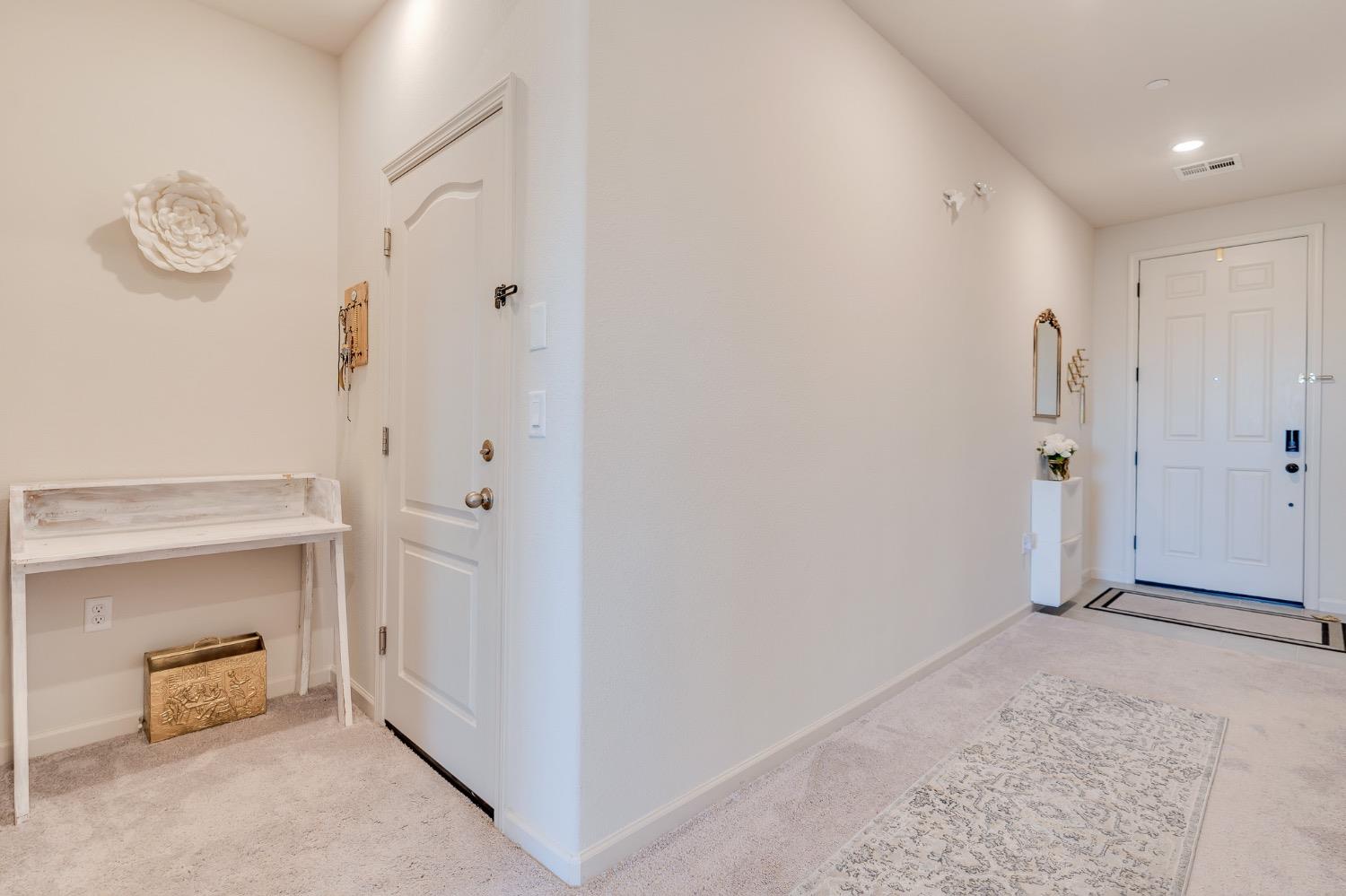 Carpeted entry foyer with a long patterned runner, white front door, and small console table.