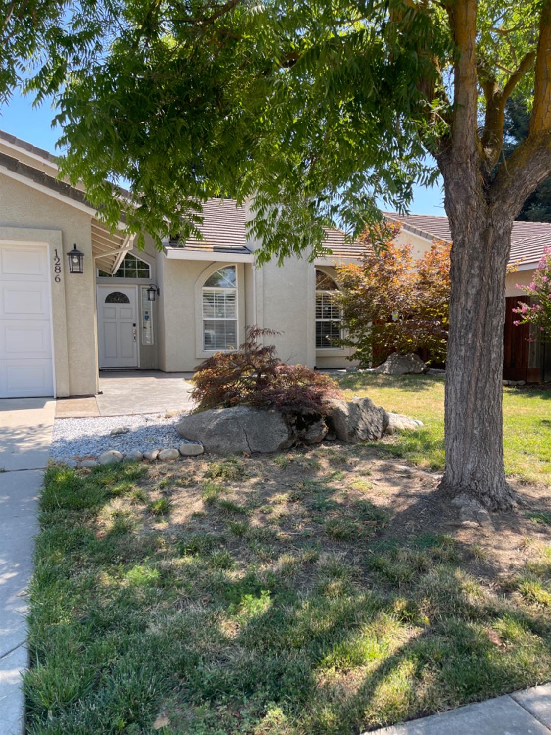 Single-story stucco home with arched windows, shaded by a large front-yard tree.