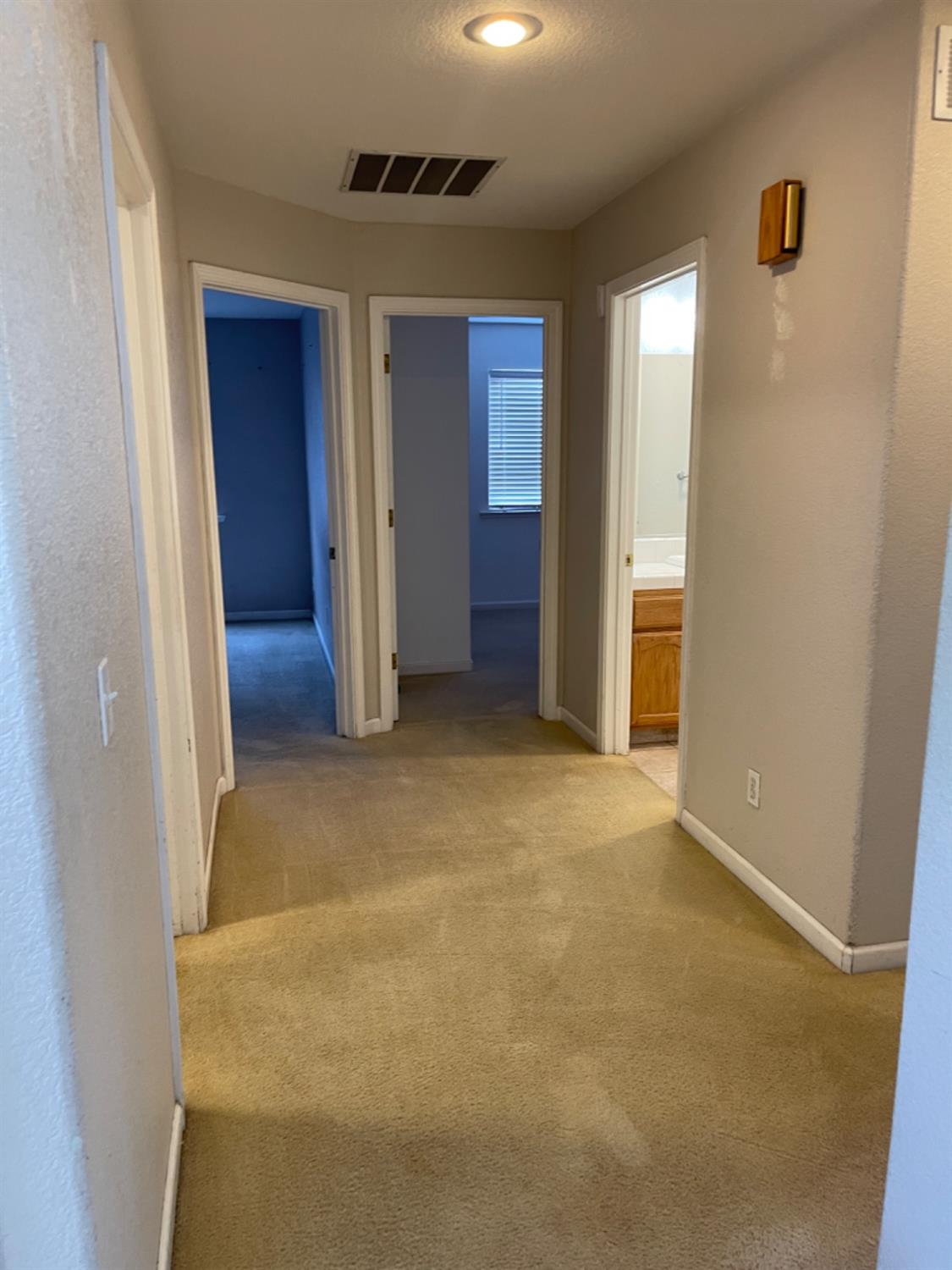 Carpeted hallway with open doorways to two rooms and a bathroom.