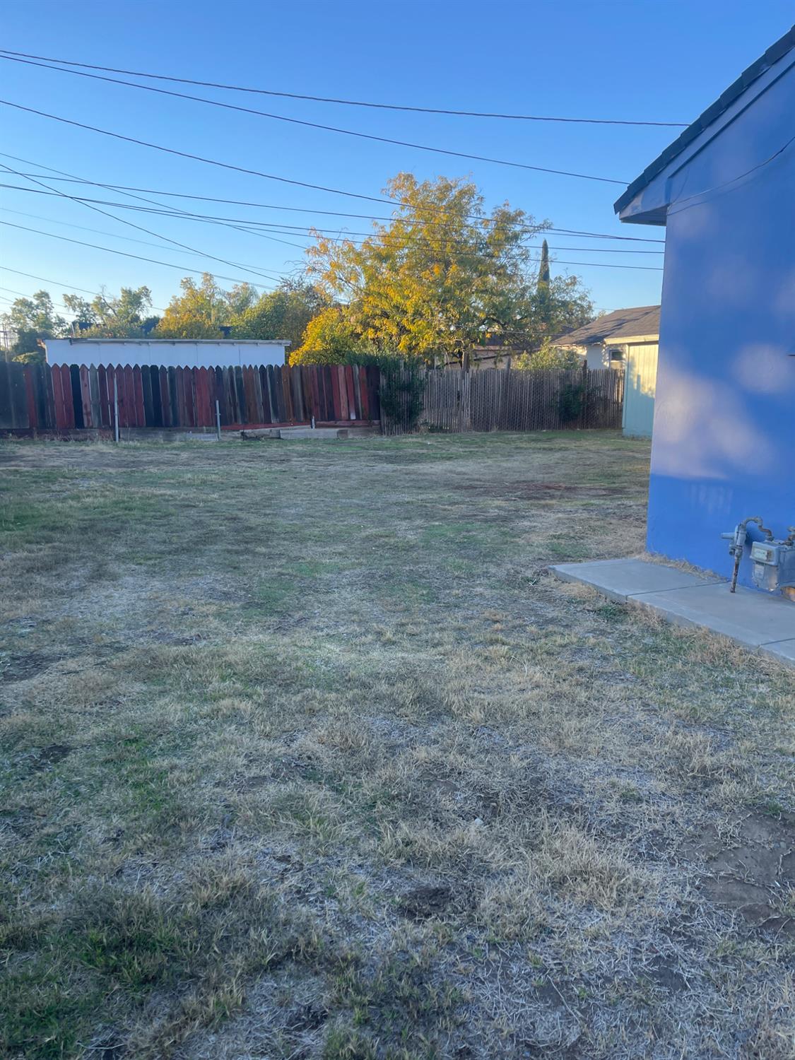 Backyard with dry grass, a weathered multicolored fence, and a blue outbuilding.