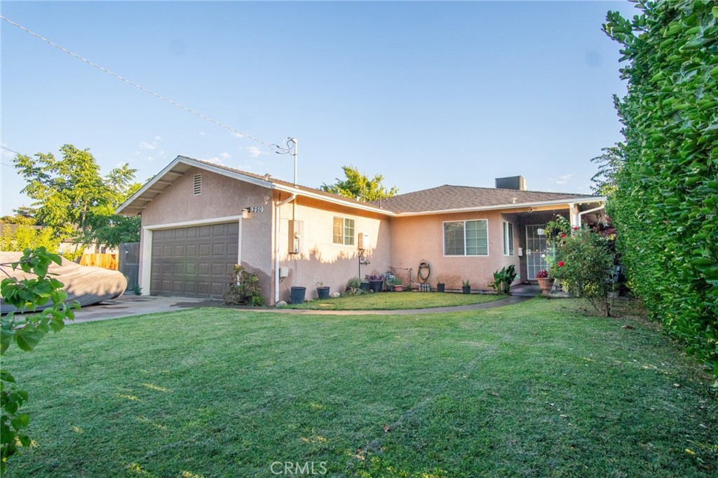 250 Cedar Avenue