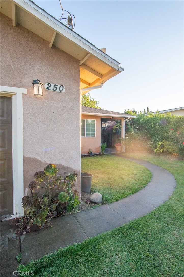 250 Cedar Avenue