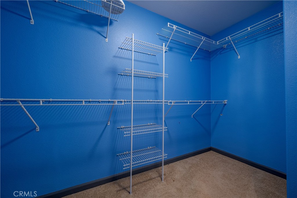 1297 Orion Court