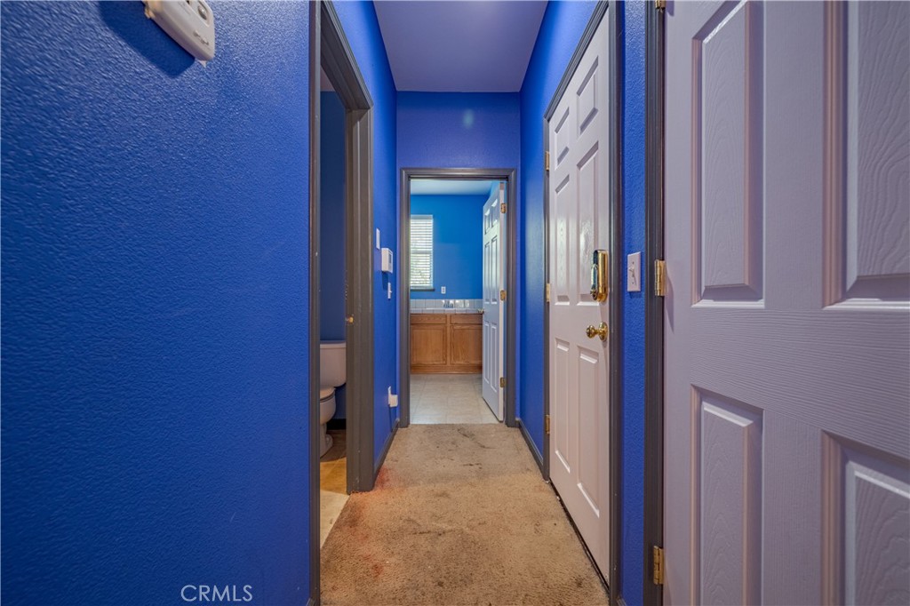 1297 Orion Court