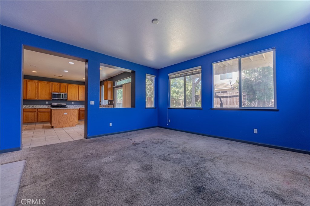 1297 Orion Court