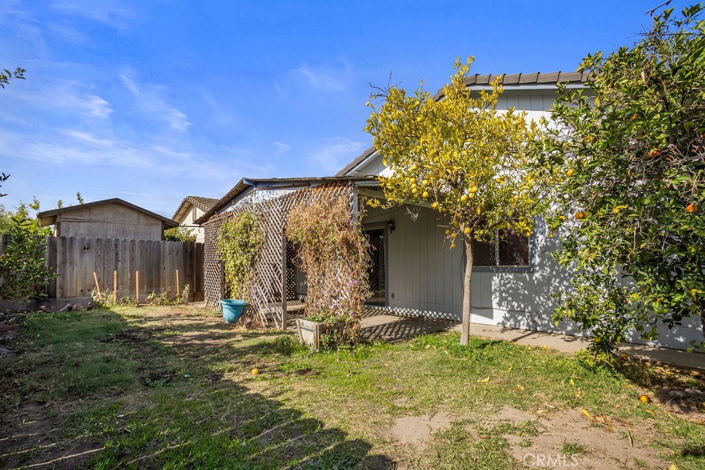 Backyard with a lattice-covered patio, lemon tree, and wooden shed.