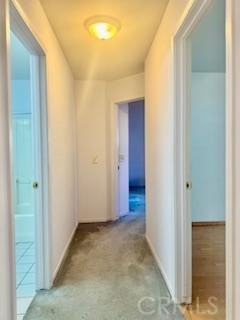 3341 Mills Court