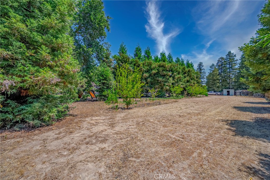 5779 Orchid Court