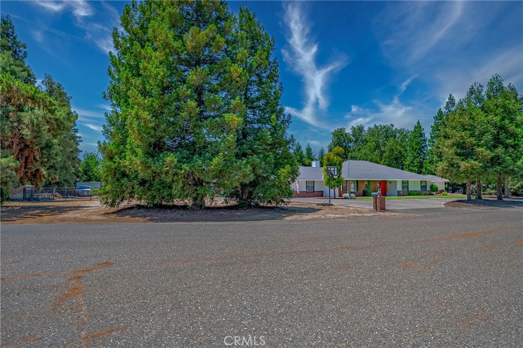5779 Orchid Court