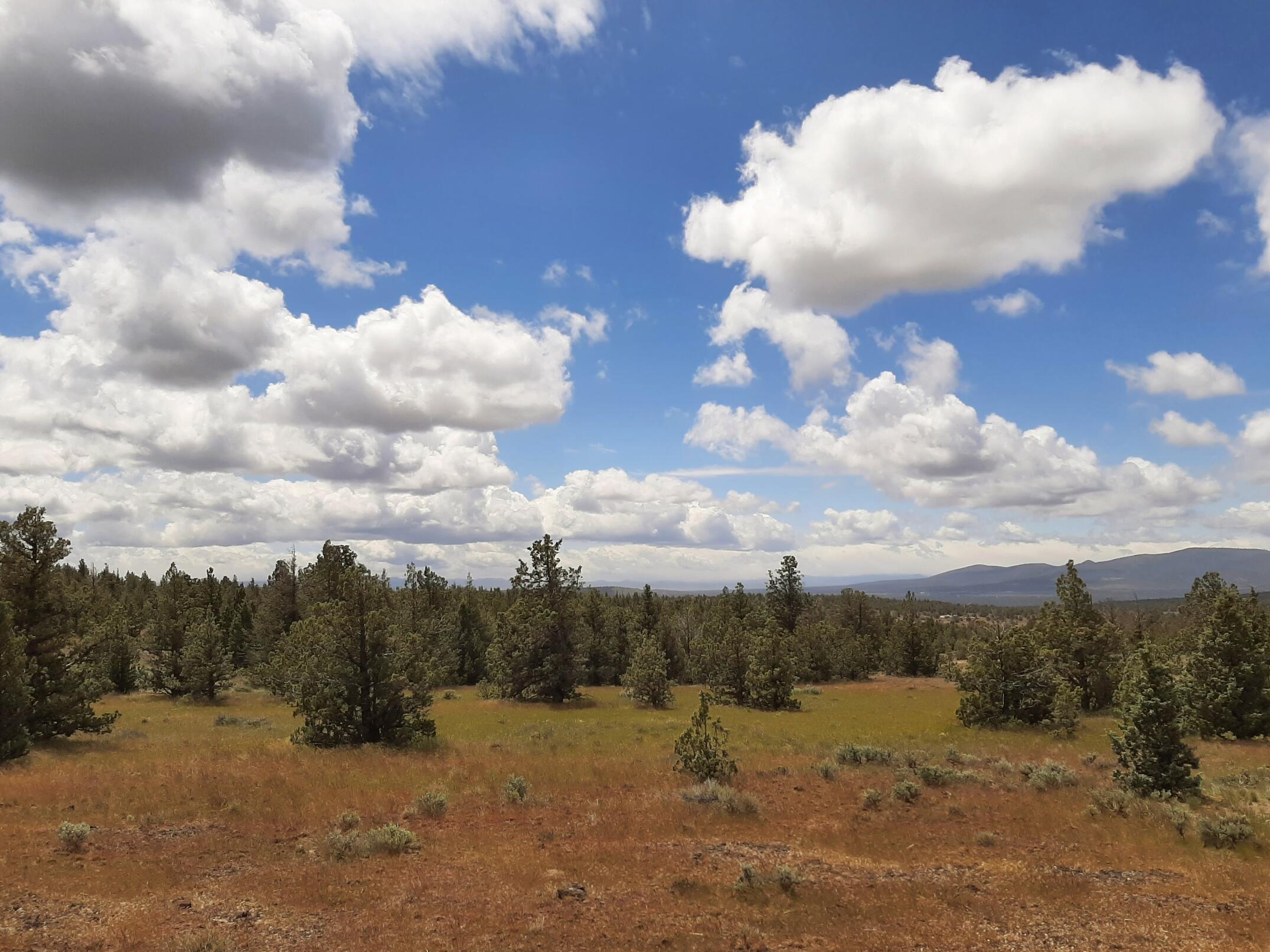 10225 SE Ridge View Road