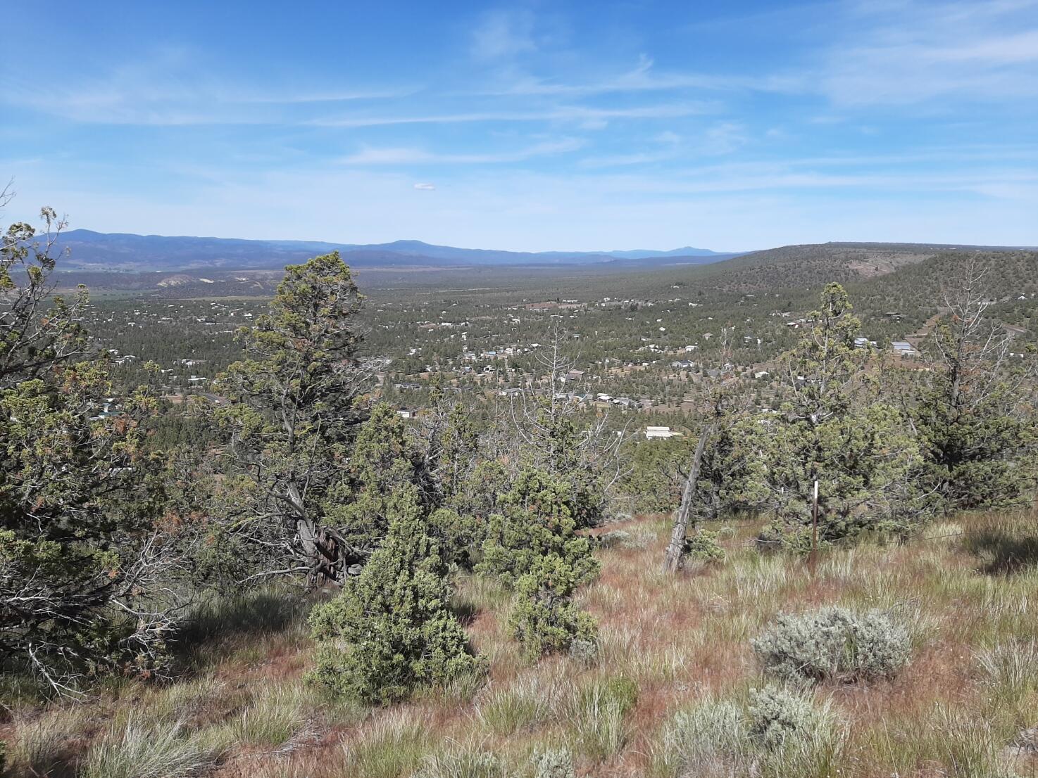 TL1400 SE Night Hawk Court