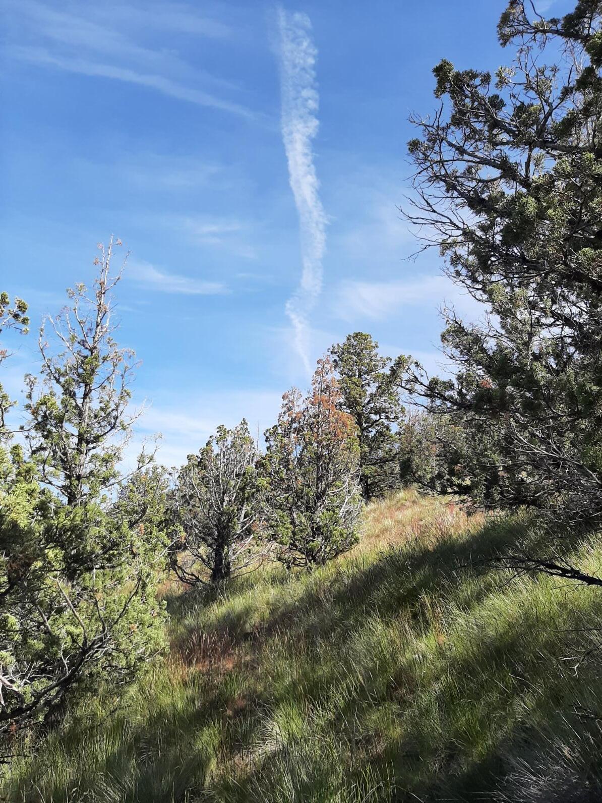 TL1400 SE Night Hawk Court