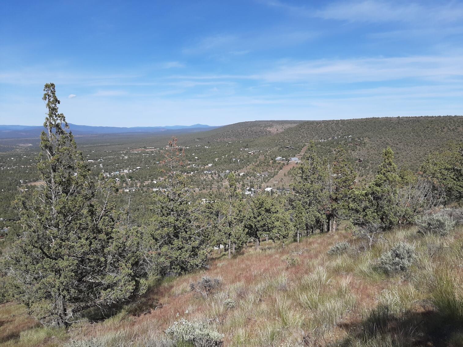 TL1400 SE Night Hawk Court