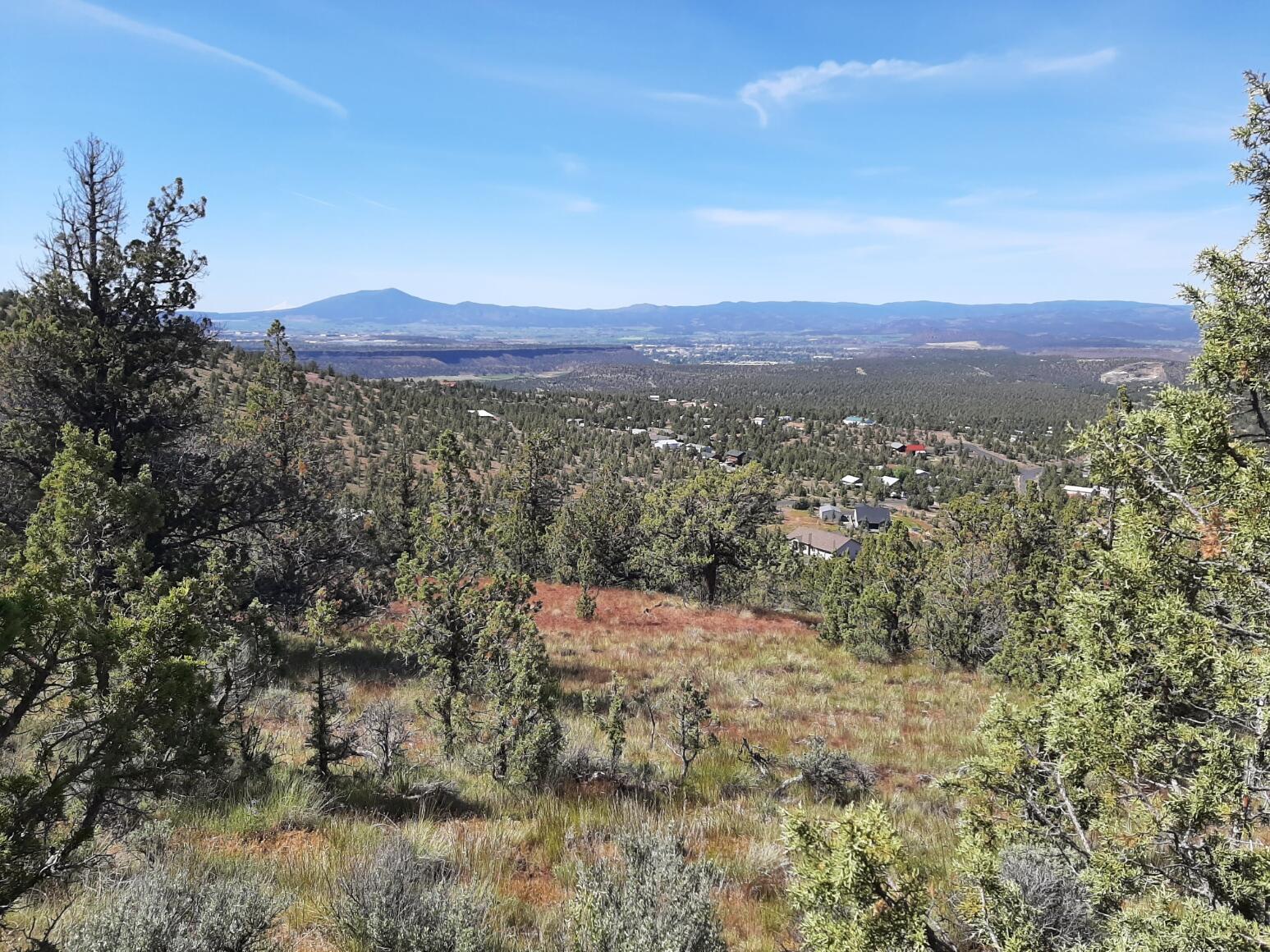 TL1400 SE Night Hawk Court