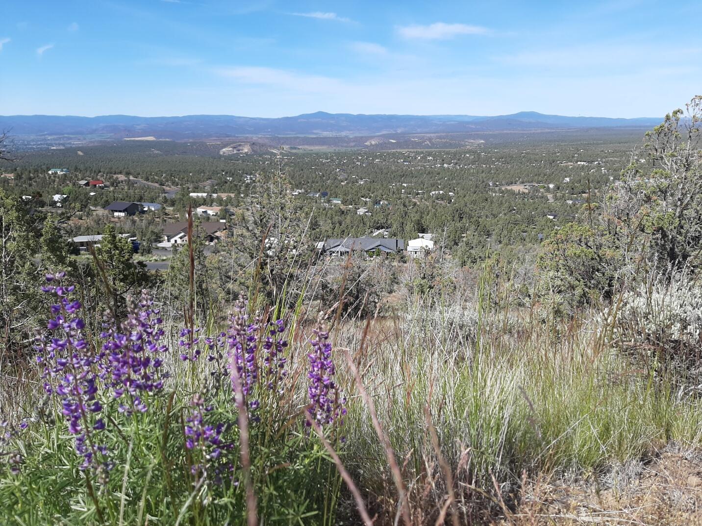 TL1400 SE Night Hawk Court