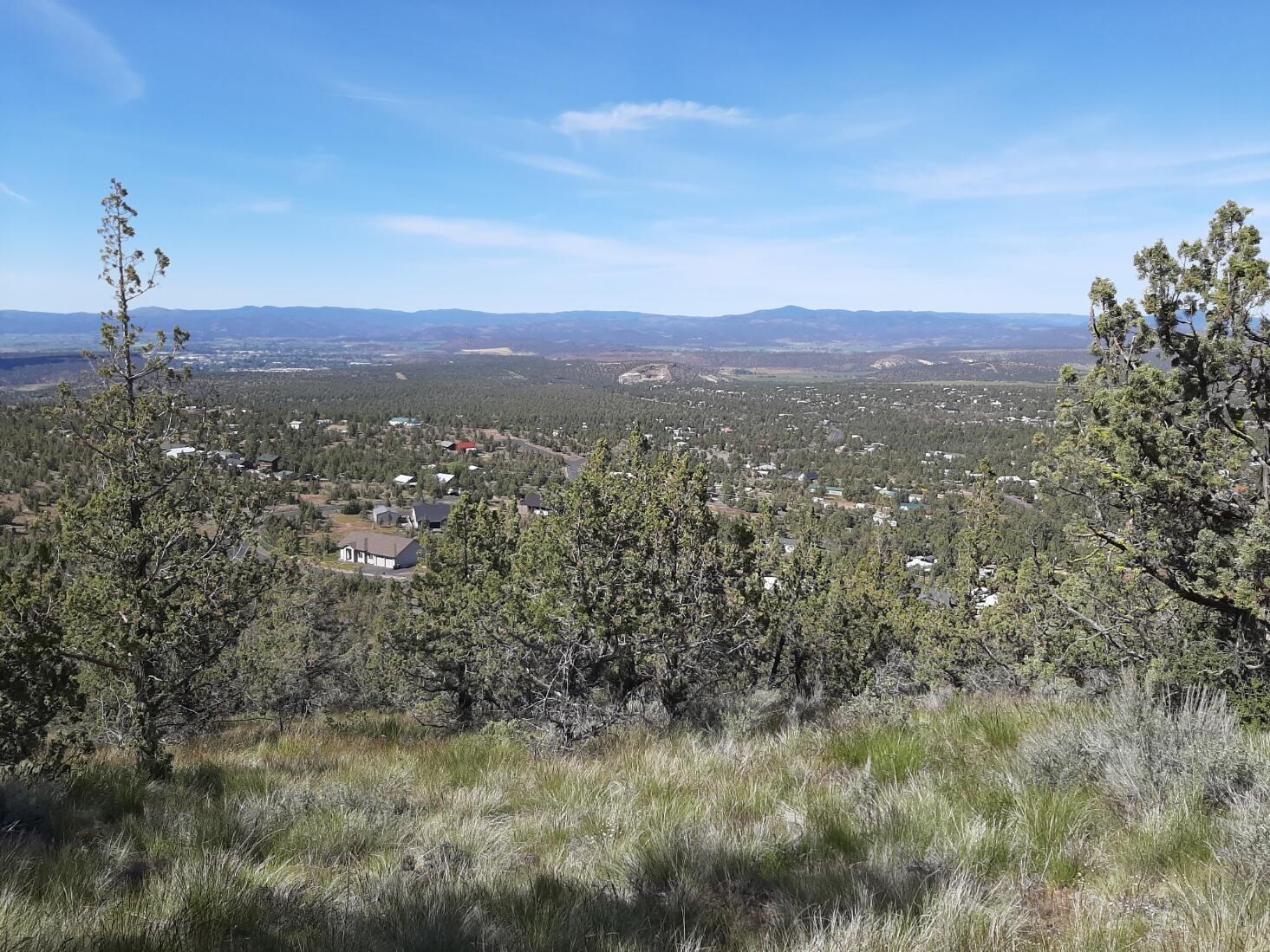 TL1400 SE Night Hawk Court