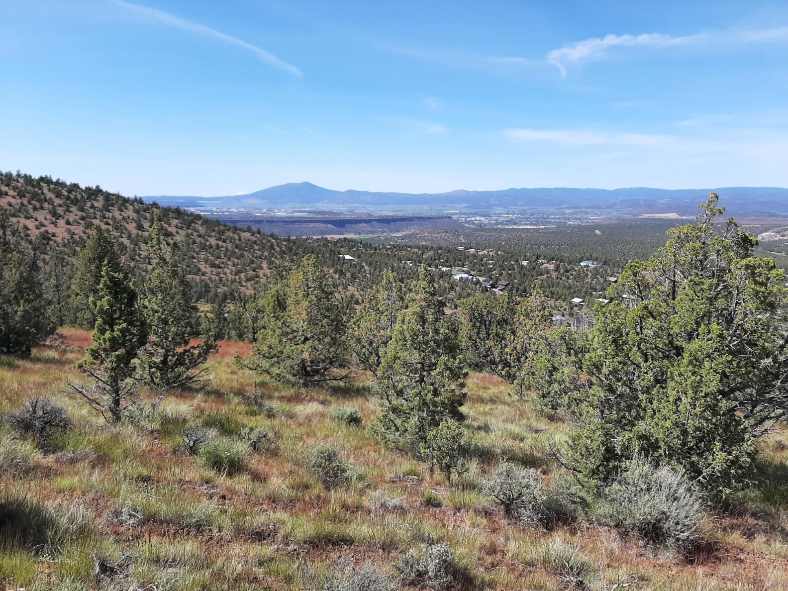 TL1400 SE Night Hawk Court