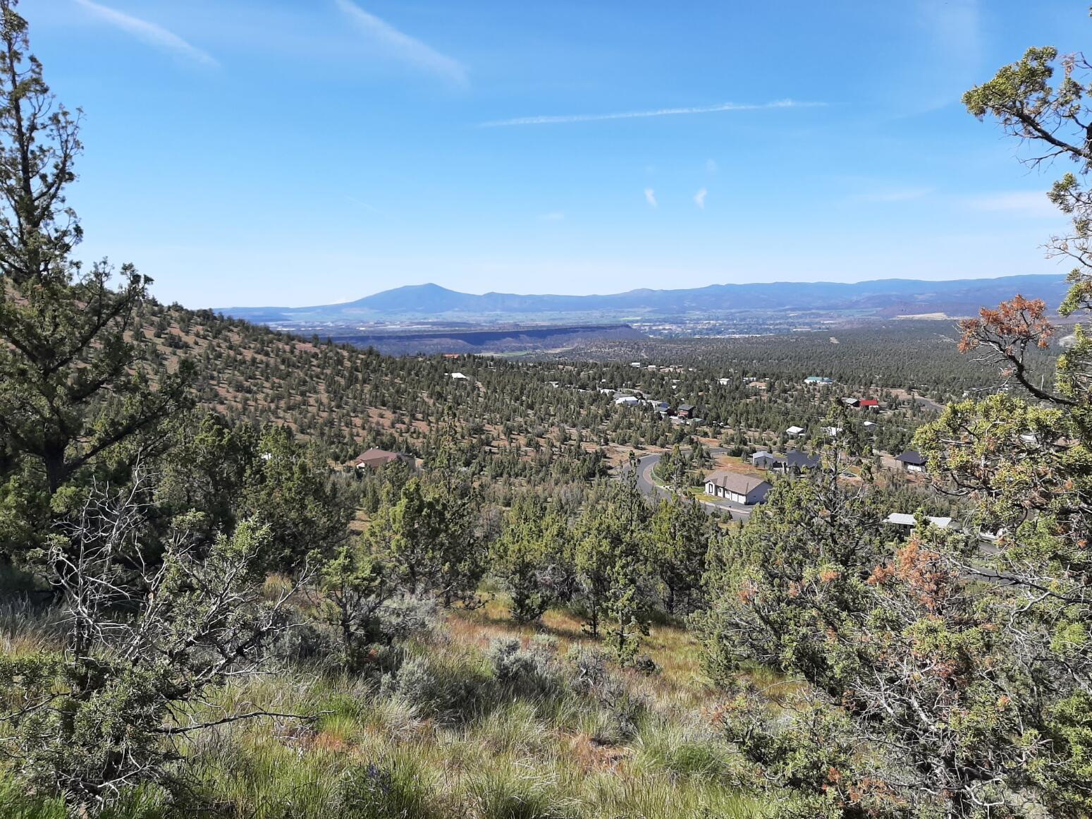 TL1400 SE Night Hawk Court