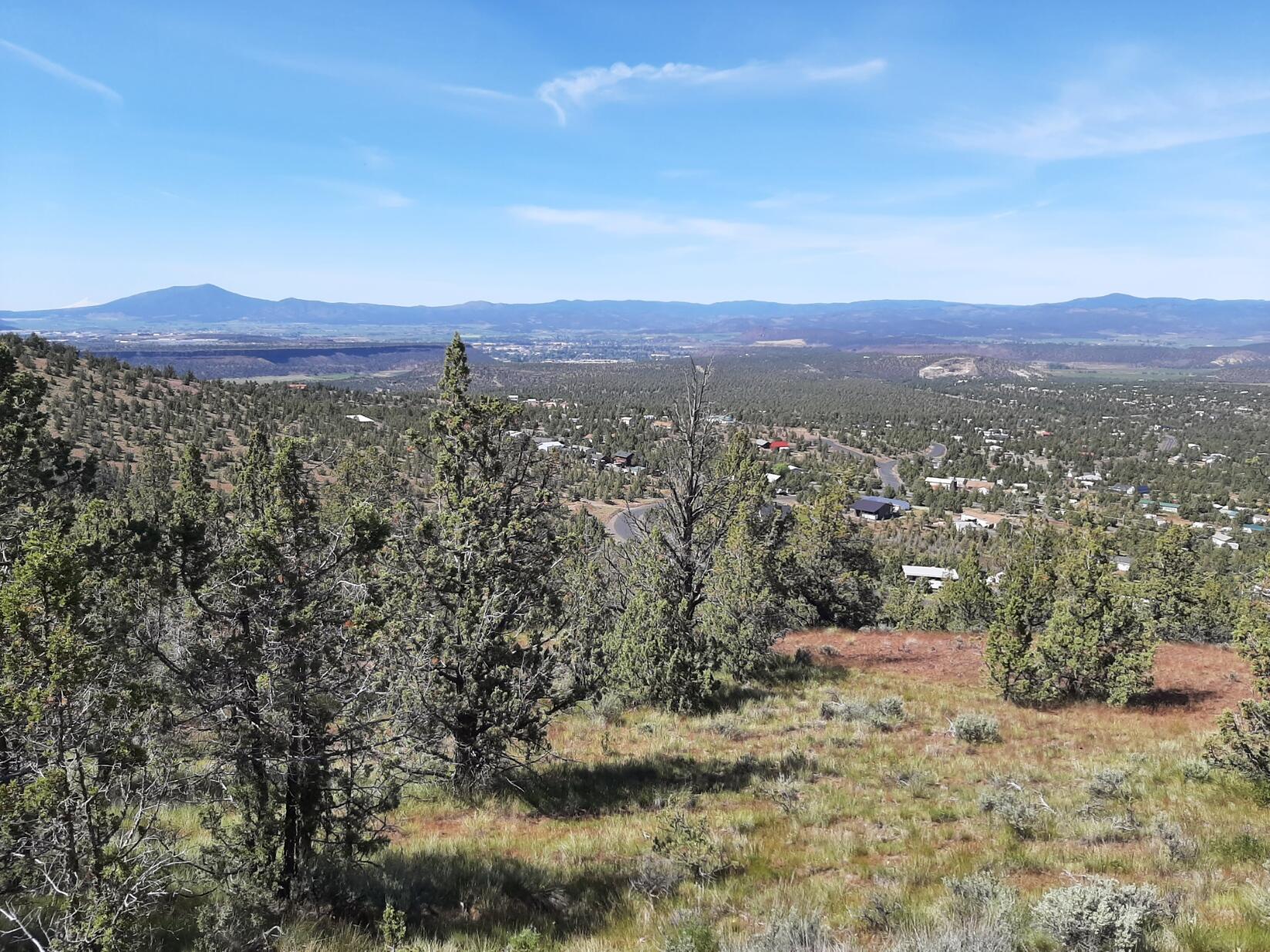 TL1400 SE Night Hawk Court