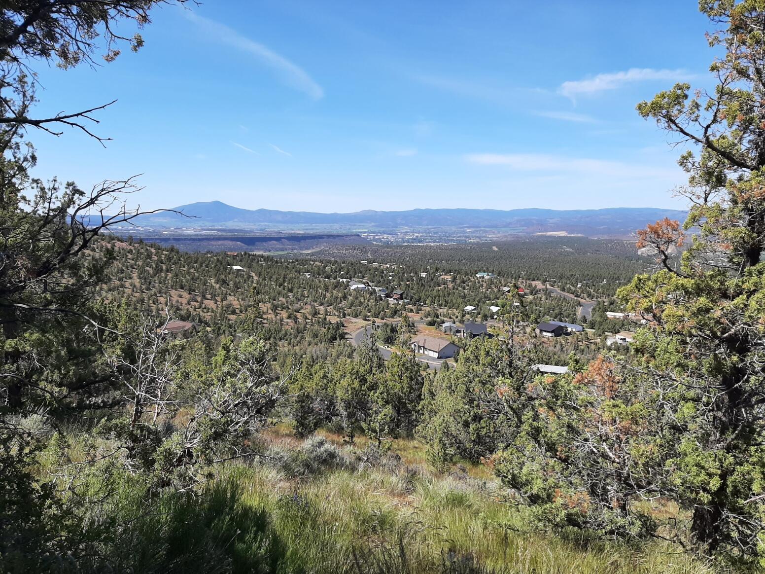 TL1400 SE Night Hawk Court