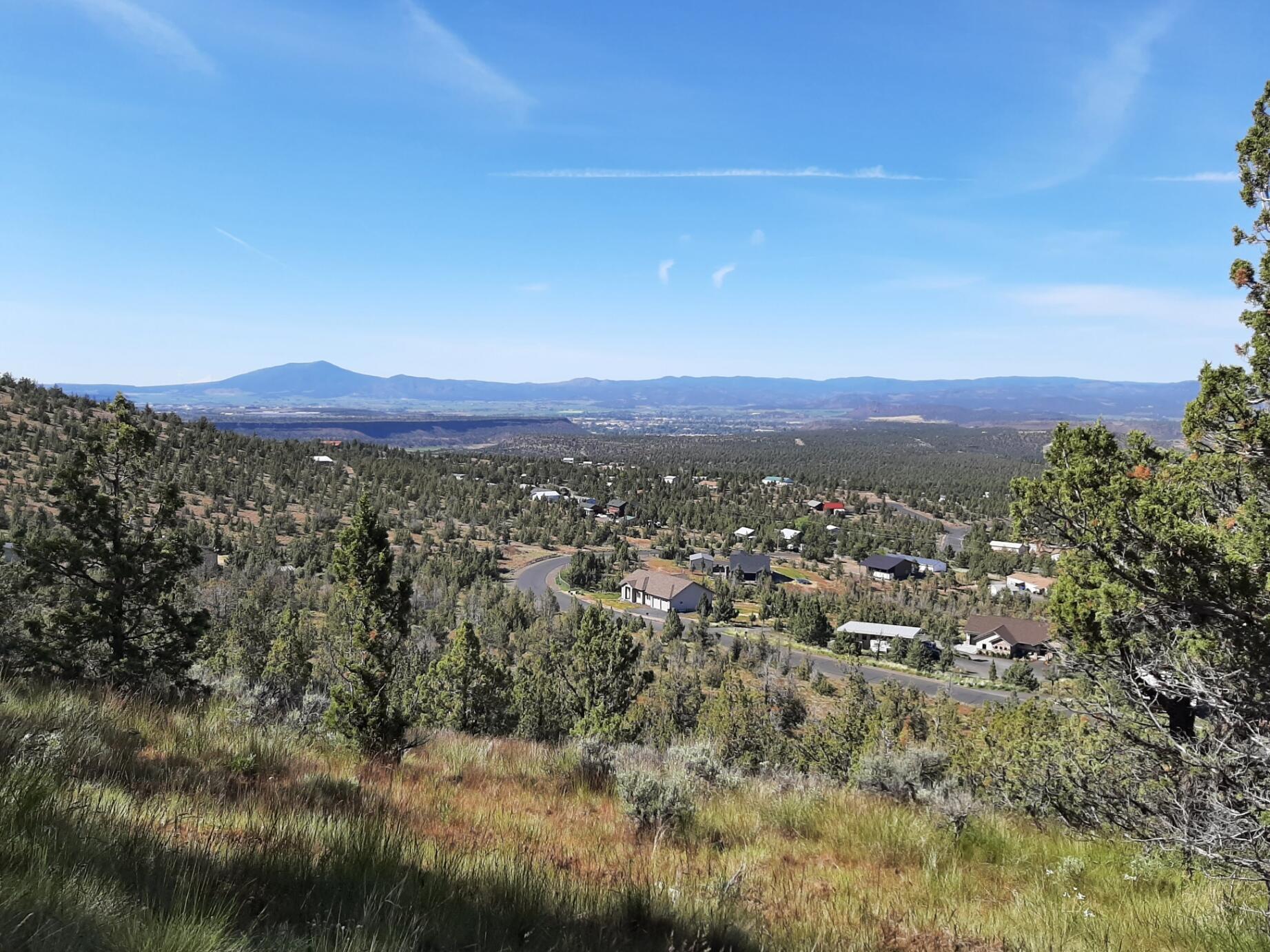 TL1400 SE Night Hawk Court