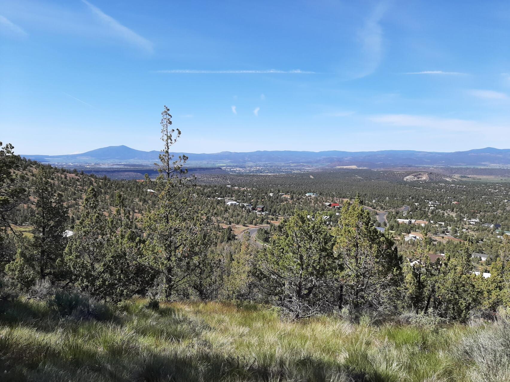 TL1400 SE Night Hawk Court