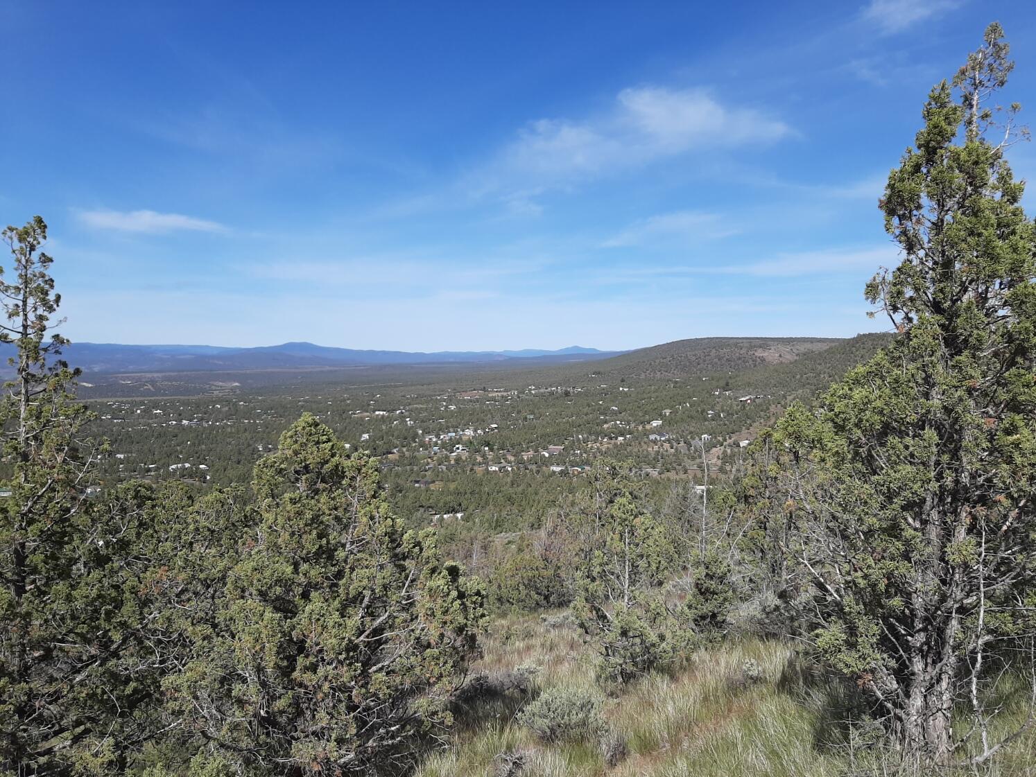 TL1400 SE Night Hawk Court